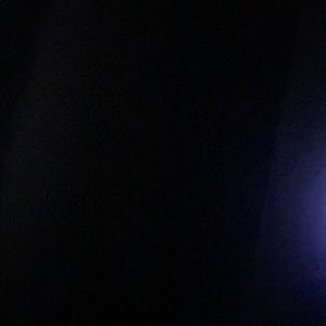 Meet your Posher, Dionne